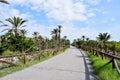 Alfonso XIII Park in Guardamar del Segura, Alicante. Spain. Europe. September 23, 2019