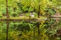 Alfred Nicholas memorial gardens lake Royalty Free Stock Photo