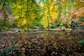 Alfred Nicholas Memorial Gardens