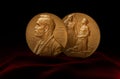 Alfred Nobel Prize Royalty Free Stock Photo