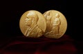 Alfred Nobel Prize Royalty Free Stock Photo