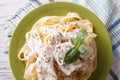 Alfredo pasta in cream sauce with chicken closeup. horizontal t Royalty Free Stock Photo