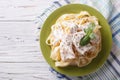 Alfredo pasta in cream sauce with chicken. horizontal top view Royalty Free Stock Photo