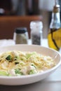 Alfredo spaghetti broccoli chicken white sauce Royalty Free Stock Photo