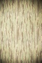 Alga wall paper