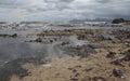 Beach covered with algae after storm wide