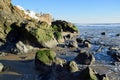 Algae covered boulders on shore of Cress Street Beach in Laguna Beach, California. Royalty Free Stock Photo