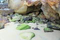 Algae Covered Rocks on West Head Beach in Ku-ring-gai Chase National Park Royalty Free Stock Photo