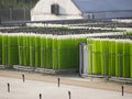 Algae growing farm