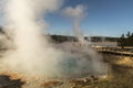 Algae growth and steam in a Hot Spring Fountain Paint Pot Yellowstone National Park.