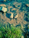 Algae muddy cobbletones in transparent water at river shore grass, water reflections and stone shadows isolated underwater Royalty Free Stock Photo