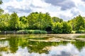 Algae and reflections on water surface at lake Echternach in natural landscape