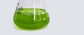 Algae research in laboratories, biotechnology science concept, marine plankton or microalgae culture into glassware flask
