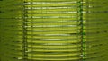 Algae science reactor tubular, research pipe hose modern laboratory bioreactor tubing multi cultivator hosepipe photon Royalty Free Stock Photo
