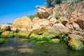Algae on the sea stones. Green algae covers the sea surface Royalty Free Stock Photo