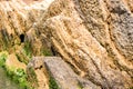 Algae on the sea stones. Green algae covers the sea surface Royalty Free Stock Photo