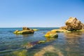 Algae on the sea stones. Green algae covers the sea surface Royalty Free Stock Photo