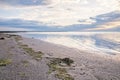 Algae on the seaside, beautiful sunrise