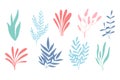 Algae set in silhouette style. Collection of colored underwater plants. Flat style. Royalty Free Stock Photo
