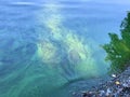 Algal bloom due to pollution and phosphate in water, Water pollution caused by chemicals