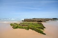 Algarve: Beach Praia da Arrifana, Coastline with rocks at low tide - Atlantic Ocean, Portugal Royalty Free Stock Photo