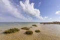 Algarve Cavacos beach seascape at Ria Formosa wetlands reserve, Algarve. Royalty Free Stock Photo