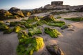 Spain Andalusia algae on rocks beach Beach Sunset bunker Royalty Free Stock Photo