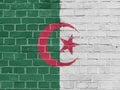 Algeria Politics Concept: Algerian Flag Wall