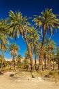 Sahara desert in Algeria