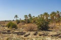 Sahara desert in Algeria