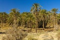 Sahara desert in Algeria
