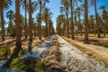 Sahara desert in Algeria