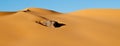 Algeria Sahara desert landscape Royalty Free Stock Photo