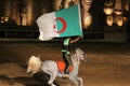 Algerian flag