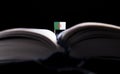 Algerian flag in the middle of the book