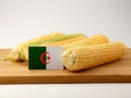 Algerian flag on a wooden panel with corn isolated on a white ba