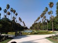 Algerian monument from an awesom garden