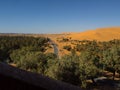 Algerian Sahara desert Golden sand dunes and palm trees