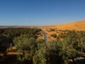 Algerian Sahara desert Golden sand dunes and palm trees