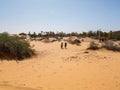 Algerian Sahara desert oasis of Thaghit Bechar Sand dunes and trees