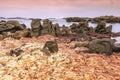 Big Rocks and yellow seaweed cover the Algoa Bay Indian Ocean Coastline of Port Elizabeth