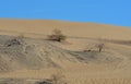 Algodones Sand Dunes Royalty Free Stock Photo