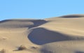 Algodones Sand Dunes Royalty Free Stock Photo