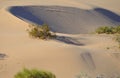 Algodones Sand Dunes Royalty Free Stock Photo