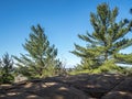 Algonquin Hiking Trail Royalty Free Stock Photo