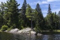 Algonquin Parc nature in Canada