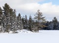 Algonquin Park trail in January