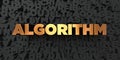 Algorithm - Gold text on black background - 3D rendered royalty free stock picture