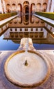 Alhambra Courtyard Myrtles Fountain Pool Granada Andalusia Royalty Free Stock Photo