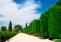 Alhambra garden